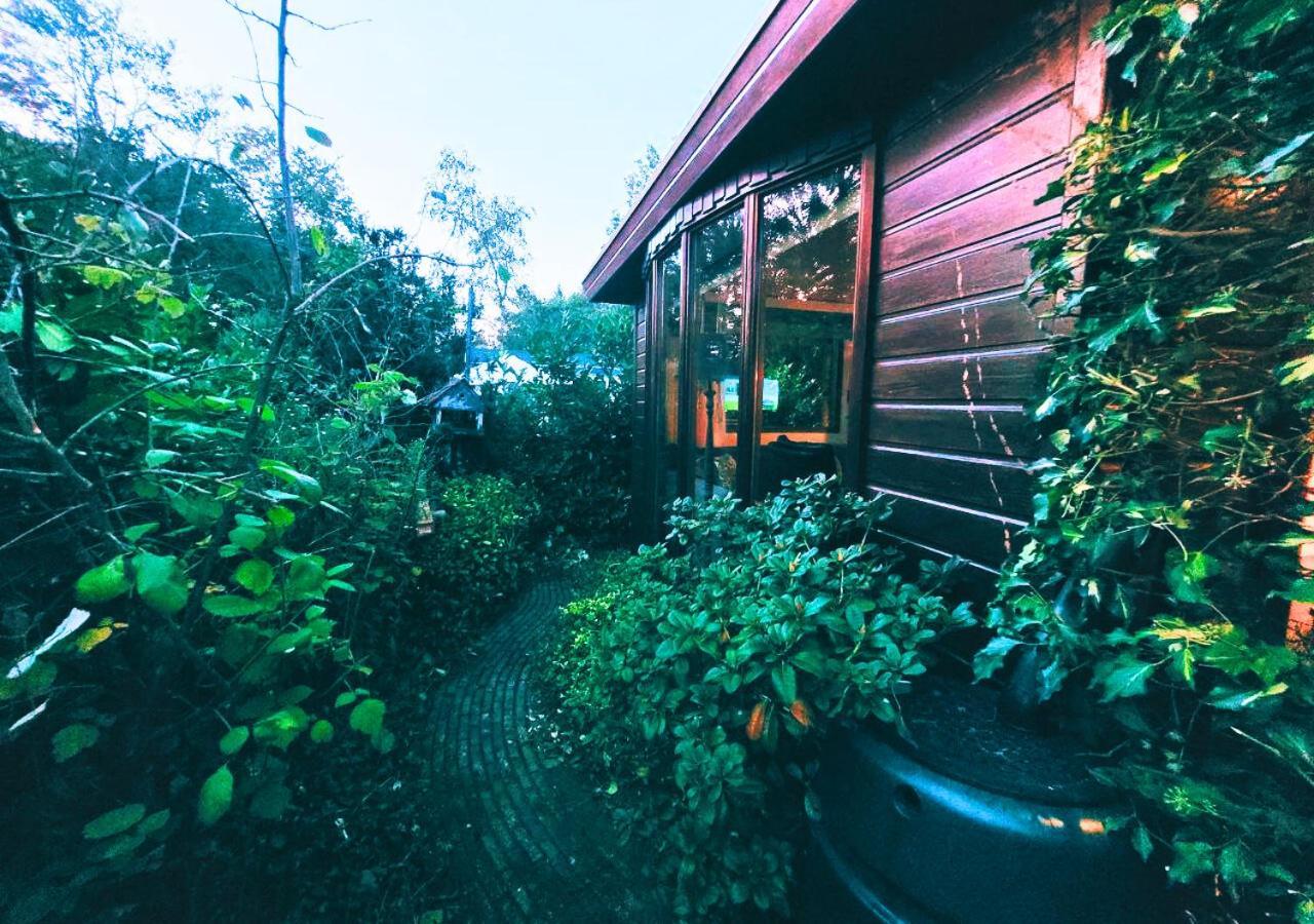 "De Jungle" Chalet Met Veranda Op Ijsselheide Hattemerbroek Veluwe Exterior foto